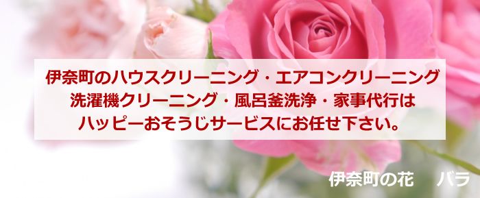 伊奈町の花 バラ
