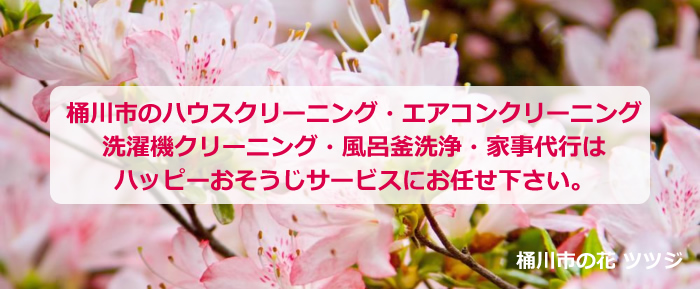 桶川市の花 ツツジ