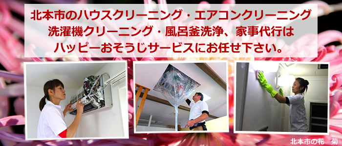 北本市の花 菊