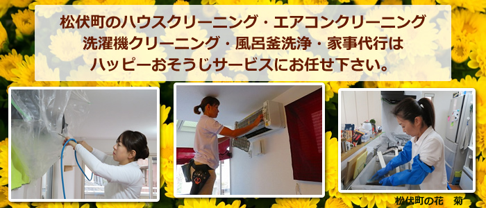 松伏町の花 キク