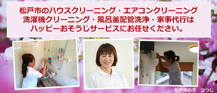 松戸市の花 つつじ