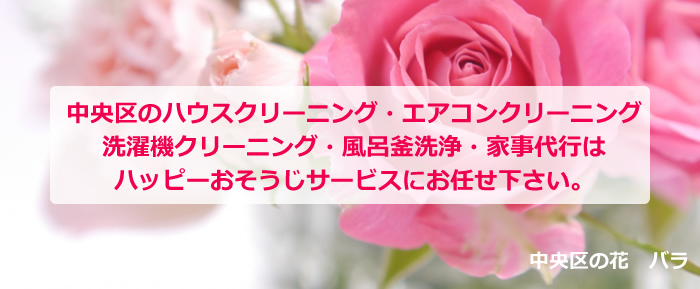 さいたま市中央区の花 ばら