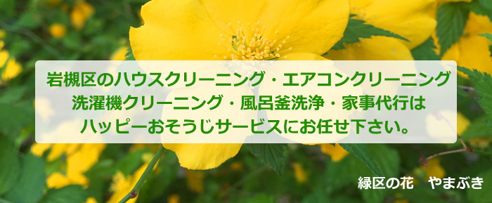 さいたま市岩槻区の花 やまぶき