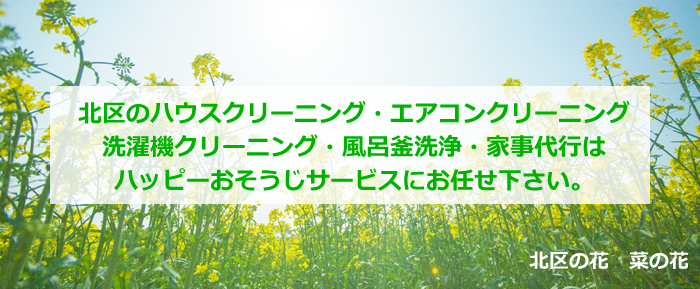 さいたま市北区の花 菜の花