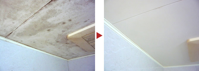 浴室天井付近のクリーニング例（さいたま市緑区東浦和）