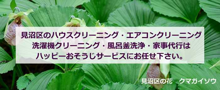 さいたま市見沼区の花 クマガイソウ