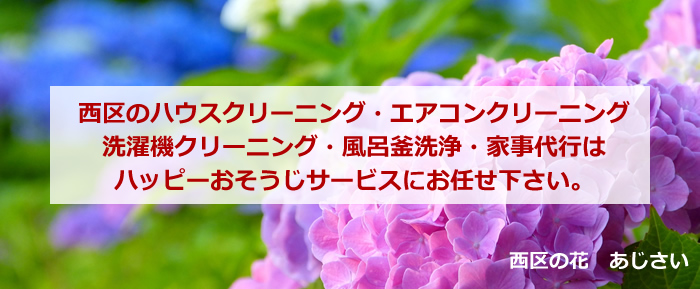 さいたま市西区の花 あじさい