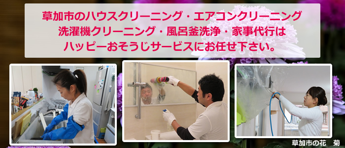 草加市の花 キク