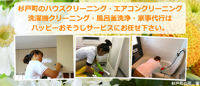 杉戸町の花 菊