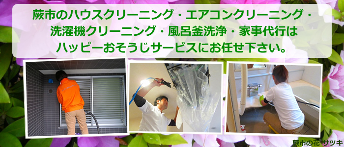 蕨市の花 サツキ