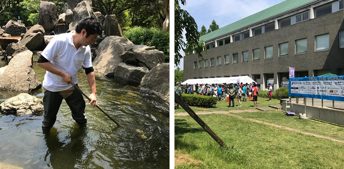 春日部市昭和公園のボランティア活動に参加